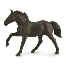 ogier-nonius-collecta