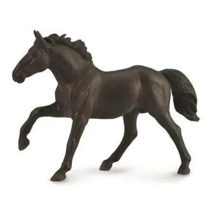 ogier-nonius-collecta