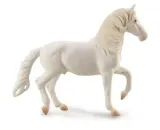 kon-camarlillo-bialy-collecta