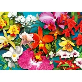puzzle-1000-el-kolorowe-storczyki-enjoy