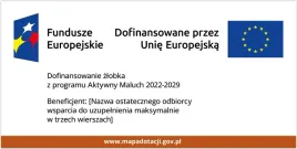 program-aktywny-maluch-zlobek-tablica-fers