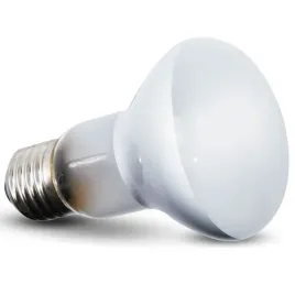 zarowka-grzewcza-punktowa-repti-zoo-beam-spot-50w