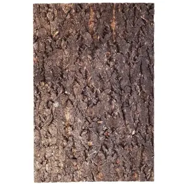 tlo-z-kory-do-terrarium-30x45cm-repti-zoo-big-tree-background