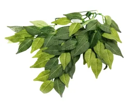 roslina-wiszaca-figowiec-40cm-repti-zoo