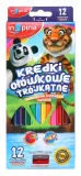 kredki-trojkatne-12-kolorow-rodzaj-kredki-olowkowe