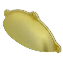 uchwyt-meblowy-czarny-uchwyt-muszla-zloty-szczot