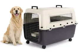transporter-dla-psa-flamingo-fomad-xl-60-x-90-x-685-cm