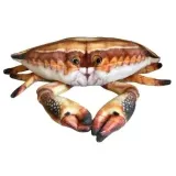 krab-31cm-dubi