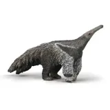mrowkojad-wielki-collecta