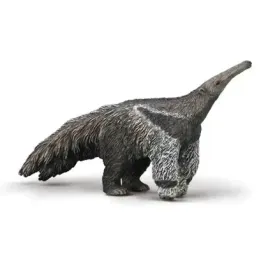 mrowkojad-wielki-collecta
