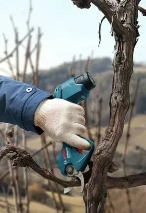 bosch-sekator-12v-25mm-pro-pruner-solo-napiecie-akumulatora-12-v