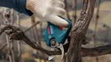 bosch-sekator-12v-25mm-pro-pruner-solo-kod-producenta-06019k1020