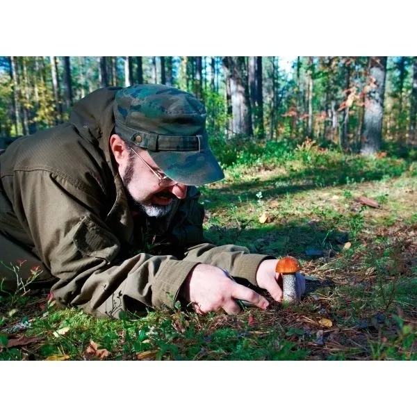 noz-do-grzybow-pilz-schwarzwolf-marka-schwarzwolf-stan-nowy