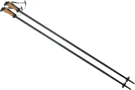 kijki-kije-narciarskie-zjazdowe-elan-speedrod-125cm