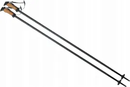kijki-kije-narciarskie-zjazdowe-elan-speedrod-120cm