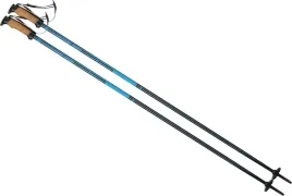 kijki-kije-narciarskie-zjazdowe-elan-speedrod-120cm