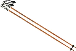 kije-narciarskie-zjazdowe-kijki-na-narty-elan-speed-rod-135cm-cd672217