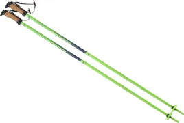 kijki-kije-narciarskie-zjazdowe-elan-speedrod-125cm