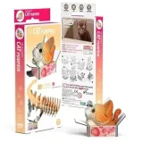 kotek-pumpkin-eugy-eko-ukladanka-3d-eugy