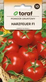 nasiona-pomidora-pomidor-gruntowy-harzfeuer-f1-03g-toraf-177
