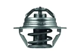 mahle-tx-100-89d-termostat-plyn-chlodzacy