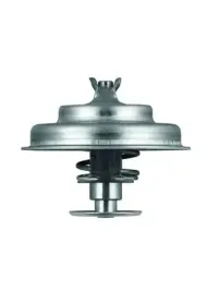 mahle-tx-75-80d-termostat-plyn-chlodzacy