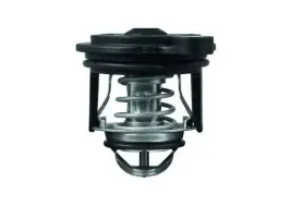 mahle-ti-246-50-termostat-plyn-chlodzacy