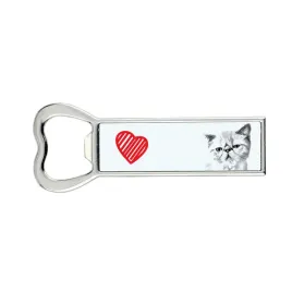 exotic-shorthair-bottle-opener-with-a-cat-personalized-fridge-opener-un