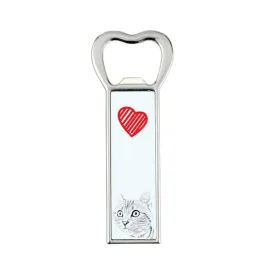 american-shorthair-bottle-opener-with-a-cat-personalized-fridge-opener