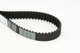 continental-ct1062-pasek-rozrzadu