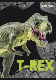 zeszyt-w-trzy-linie-a5-zeszyt-kolorowa-linia-16k-rakieta-dinozaur-t-rex-mix