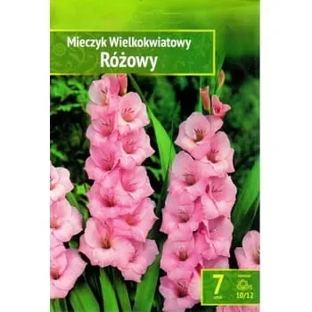 mieczyk-rozowy-benex