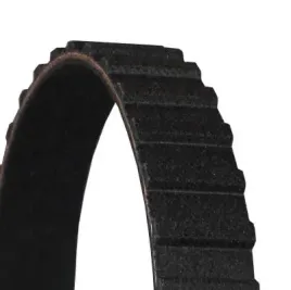 continental-ct561-pasek-rozrzadu