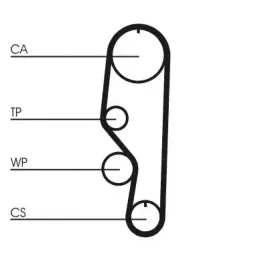 continental-ct557-pasek-rozrzadu