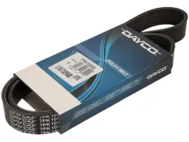 dayco-7pk1055s-pasek-klinowy-wielorowkowy