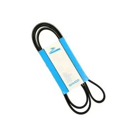 dayco-6pk1025-pasek-wielorowkowy