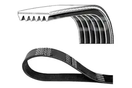dayco-6pk1215s-pasek-klinowy-wielorowkowy