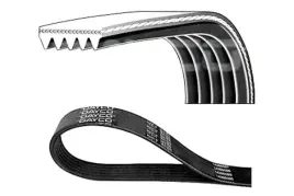 dayco-5pk884-pasek-klinowy-wielorowkowy