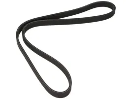 dayco-6dpk1195-pasek-klinowy-wielorowkowy