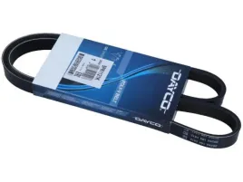 dayco-5pk1121k-pasek-klinowy-wielorowkowy