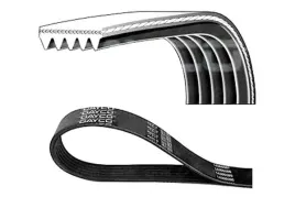 dayco-5pk825-pasek-klinowy-wielorowkowy