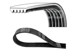 dayco-5pk1345-pasek-klinowy-wielorowkowy