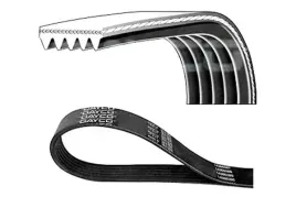 dayco-5pk1155-pasek-klinowy-wielorowkowy