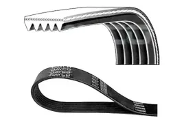 dayco-5pk1105-pasek-klinowy-wielorowkowy