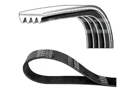 dayco-4pk1110-pasek-klinowy-wielorowkowy