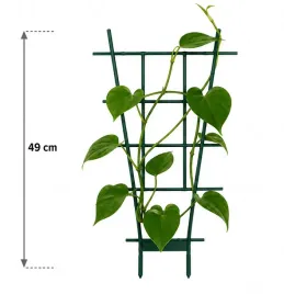 tyczka-podpora-do-roslin-49-cm-podpora-kratka-do-monstery-pnaczy-zielona