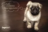 dotty-legowisko-dla-kota-lub-psa-koszyk-wiklinowy-cechy-dodatkowe-z-poduszka