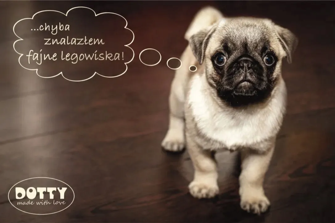 dotty-legowisko-dla-kota-lub-psa-koszyk-wiklinowy