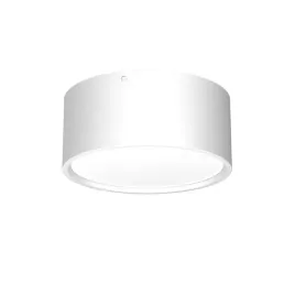 oprawa-natynkowa-spot-typu-downlight-1367-luminex