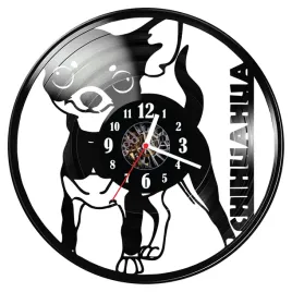 zegar-scienny-z-plyty-winylowej-chihuahua-1143-14